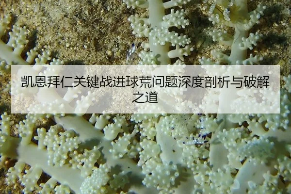 凯恩拜仁关键战进球荒问题深度剖析与破解之道